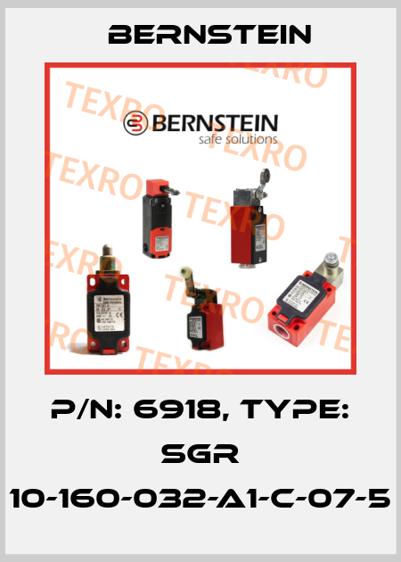 P/N: 6918, Type: SGR 10-160-032-A1-C-07-5 Bernstein