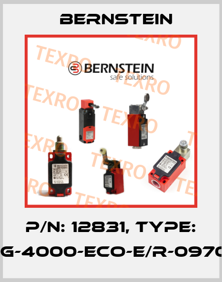 P/N: 12831, Type: SULG-4000-ECO-E/R-0970-30 Bernstein