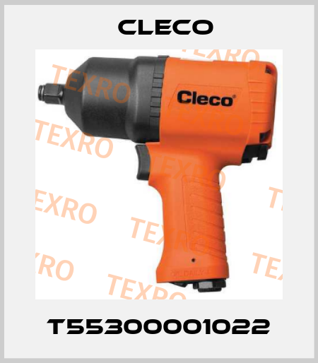 T55300001022 Cleco