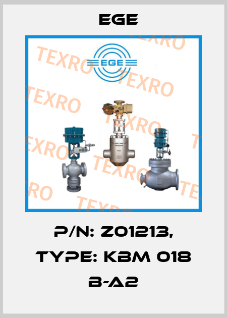 p/n: Z01213, Type: KBM 018 B-A2 Ege