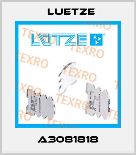 A3081818 Luetze