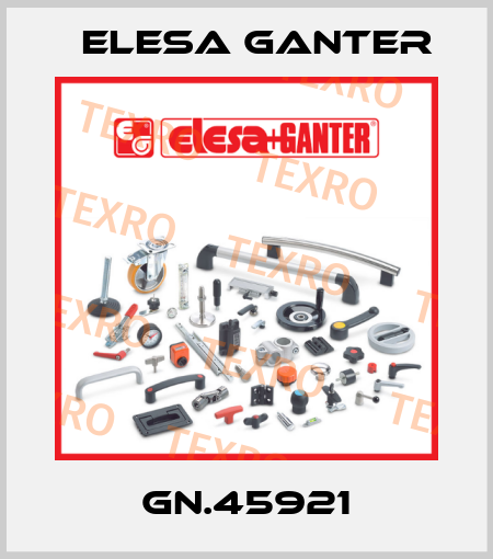 GN.45921 Elesa Ganter