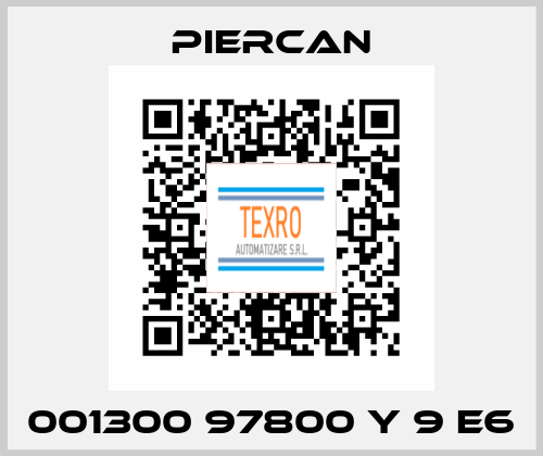 001300 97800 Y 9 E6 Piercan