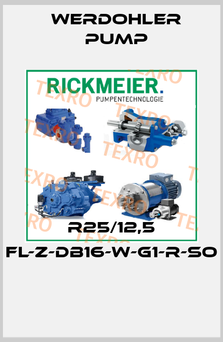 R25/12,5 FL-Z-DB16-W-G1-R-SO  Werdohler Pump
