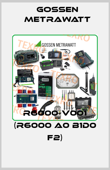 R6000-V001 (R6000 A0 B1D0 F2) Gossen Metrawatt