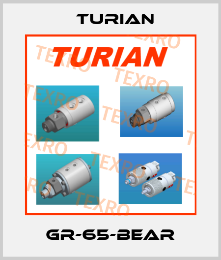 GR-65-BEAR Turian