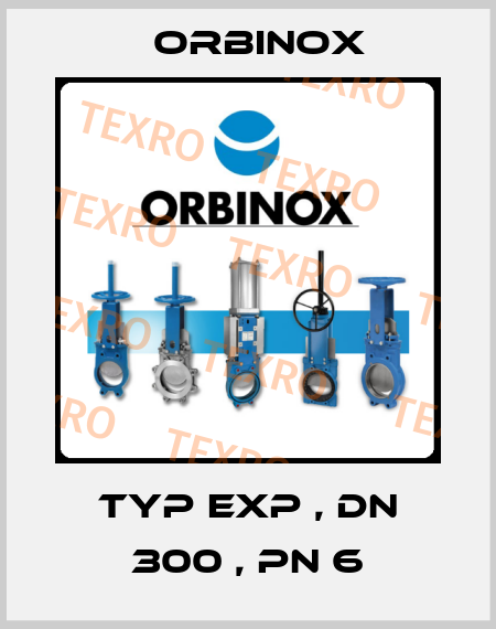 Typ EXP , DN 300 , PN 6 Orbinox