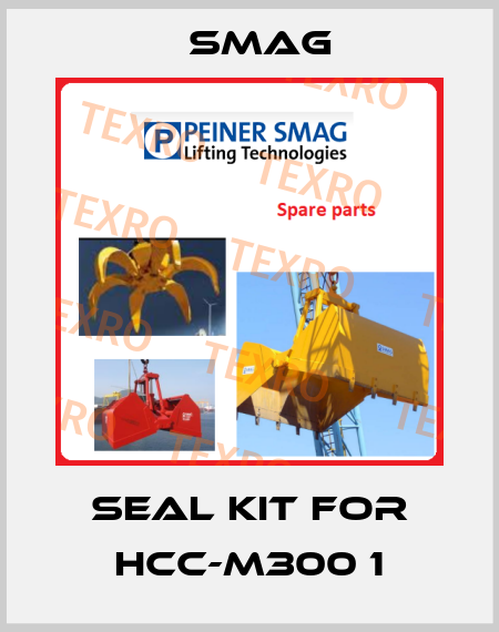 seal kit for HCC-M300 1 Smag
