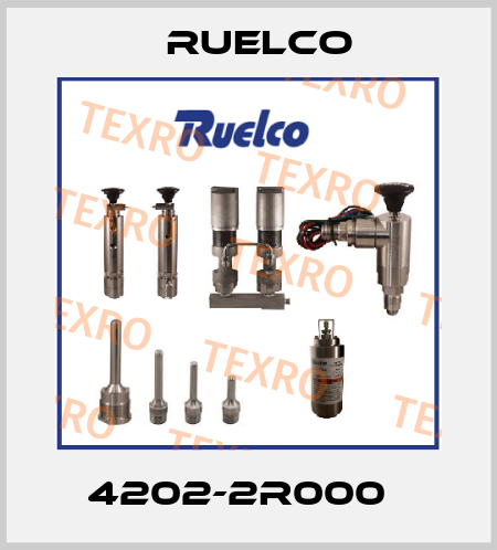 4202-2R000　 Ruelco