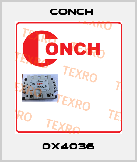 DX4036 Conch