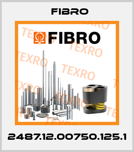 2487.12.00750.125.1 Fibro