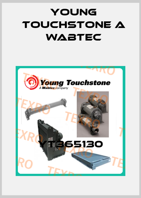 YT365130 Young Touchstone A Wabtec