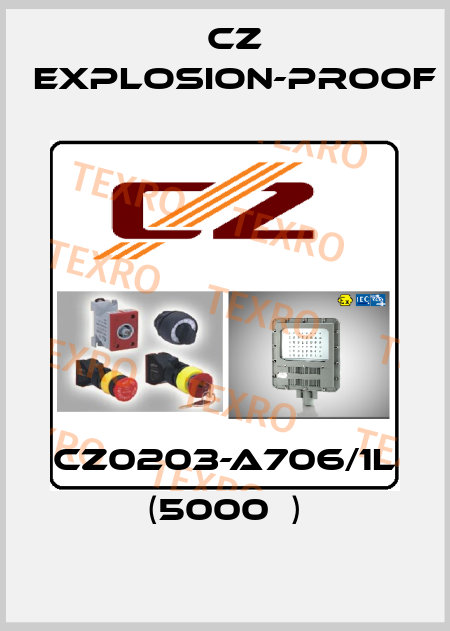 CZ0203-A706/1L (5000Ω) CZ Explosion-proof