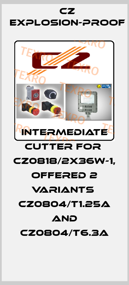 intermediate cutter for  CZ0818/2X36W-1, offered 2 variants  CZ0804/T1.25A and CZ0804/T6.3A CZ Explosion-proof
