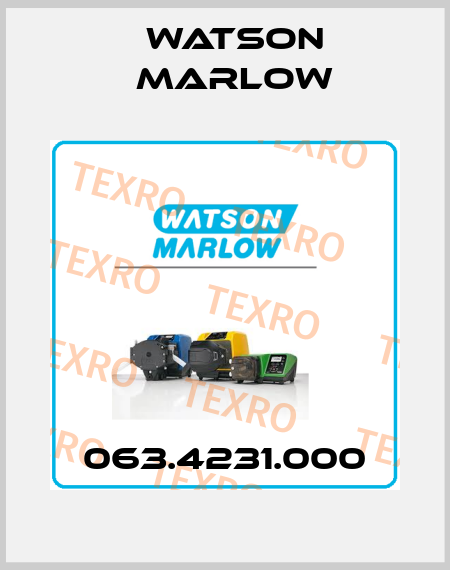 063.4231.000 Watson Marlow