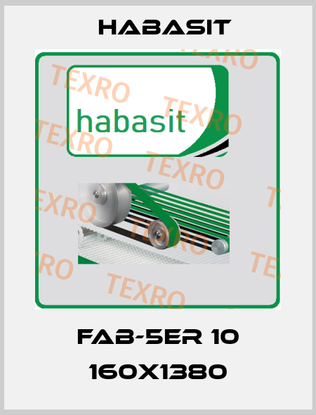 FAB-5ER 10 160X1380 Habasit