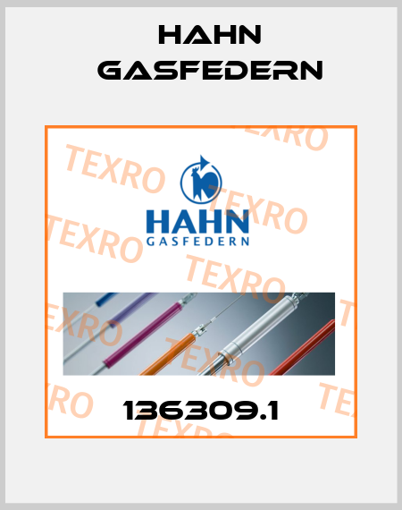 136309.1 Hahn Gasfedern