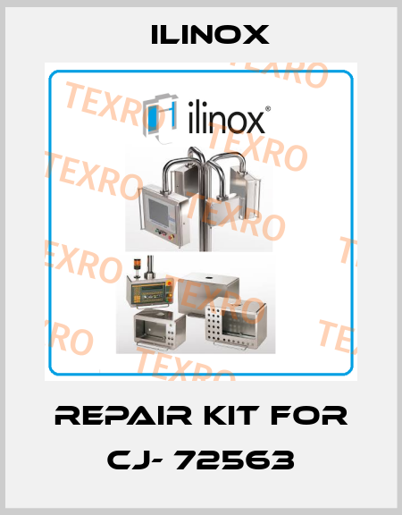 Repair kit for CJ- 72563 Ilinox