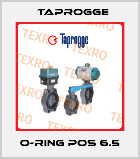 O-ring Pos 6.5 Taprogge