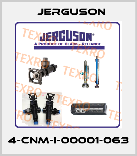 4-CNM-I-00001-063 Jerguson