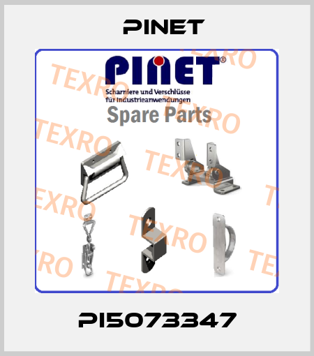 PI5073347 Pinet