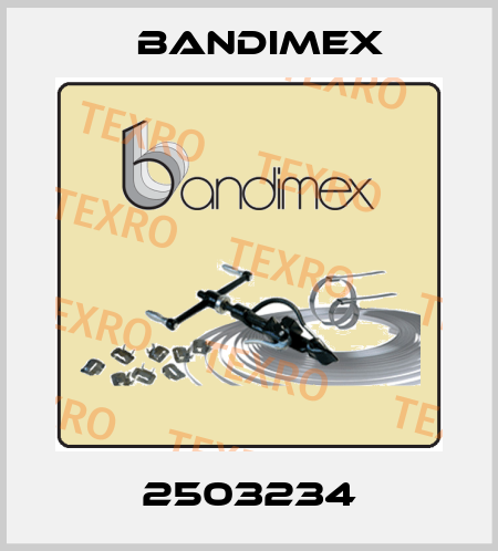 2503234 Bandimex