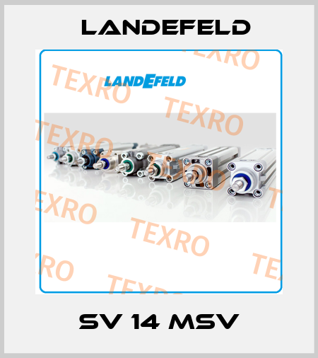 SV 14 MSV Landefeld