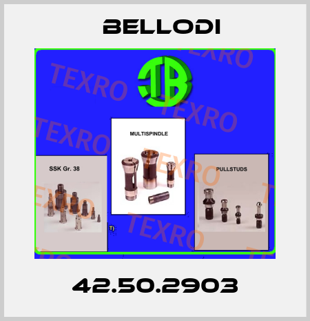 42.50.2903 Bellodi