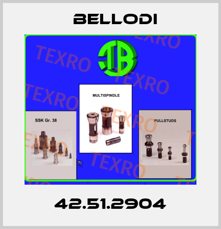 42.51.2904 Bellodi