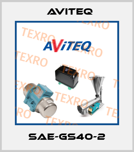 SAE-GS40-2 Aviteq