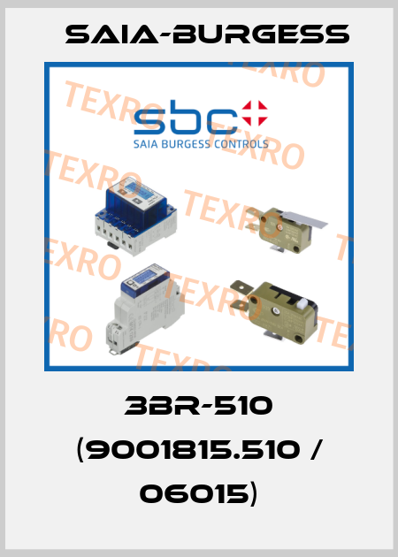 3BR-510 (9001815.510 / 06015) Saia-Burgess