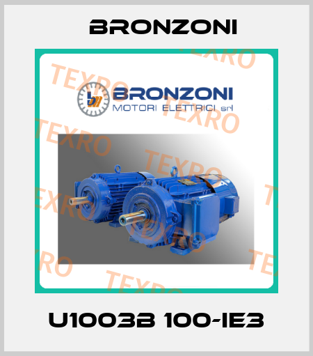 U1003B 100-IE3 Bronzoni