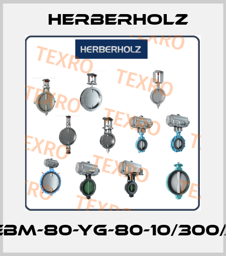 HRA-ebm-80-yg-80-10/300/ASM4 Herberholz