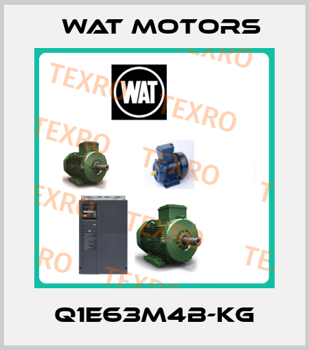 Q1E63M4B-KG Wat Motors