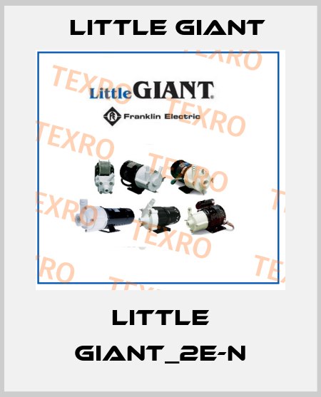 LITTLE GIANT_2E-N Little Giant