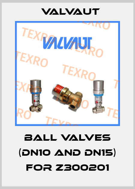 ball valves (DN10 and DN15) for Z300201 Valvaut