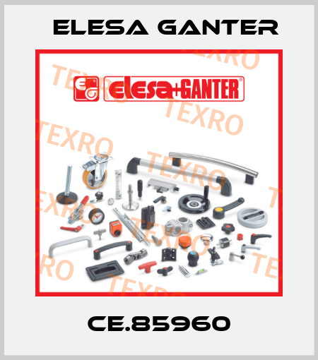 CE.85960 Elesa Ganter