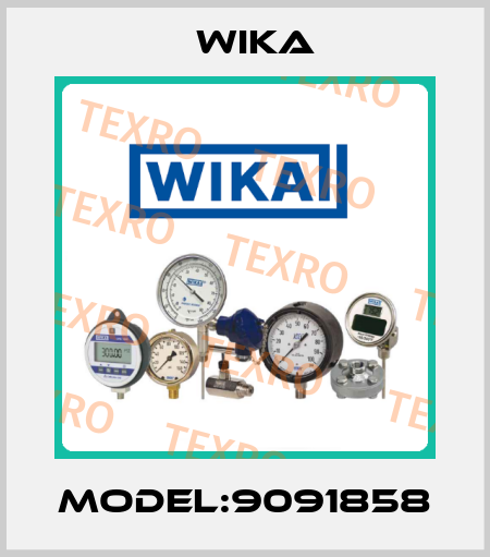 Model:9091858 Wika