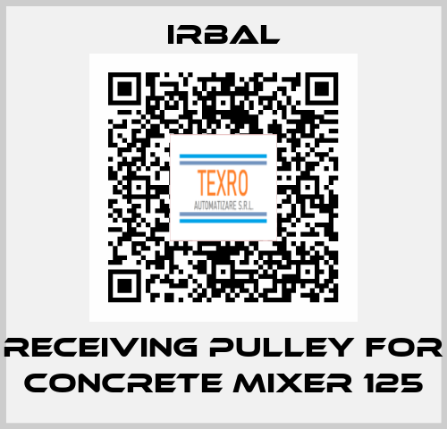 receiving pulley for Concrete mixer 125 irbal