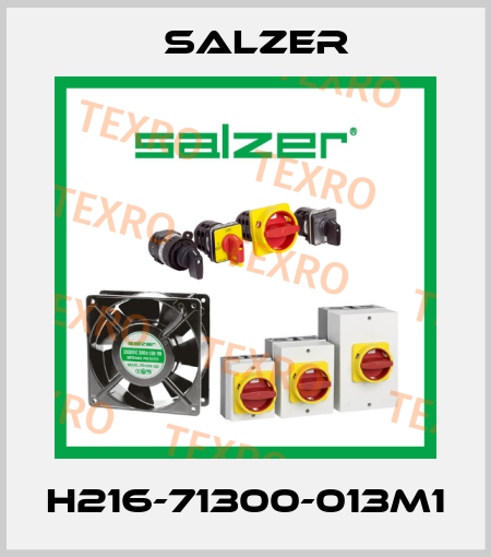 H216-71300-013M1 Salzer