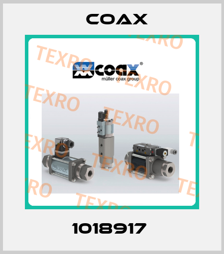 1018917  Coax