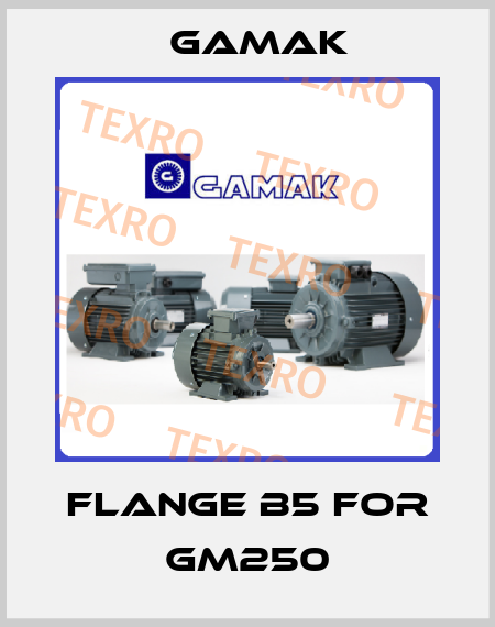 Flange B5 for GM250 Gamak