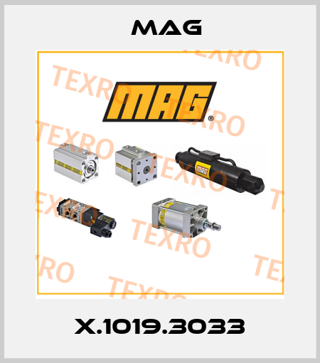 X.1019.3033 Mag