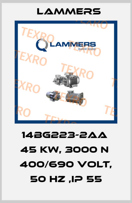 14BG223-2AA  45 KW, 3000 N  400/690 VOLT, 50 HZ ,IP 55 Lammers