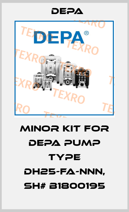 Minor kit for DEPA pump Type DH25-FA-NNN, SH# B1800195 Depa