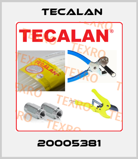 20005381 Tecalan