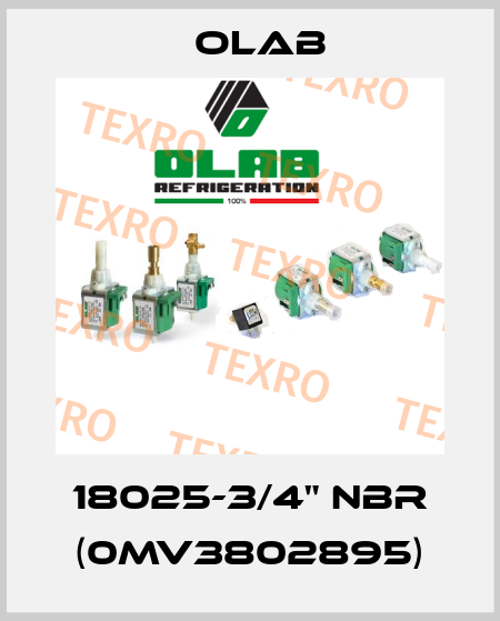 18025-3/4" NBR (0MV3802895) Olab