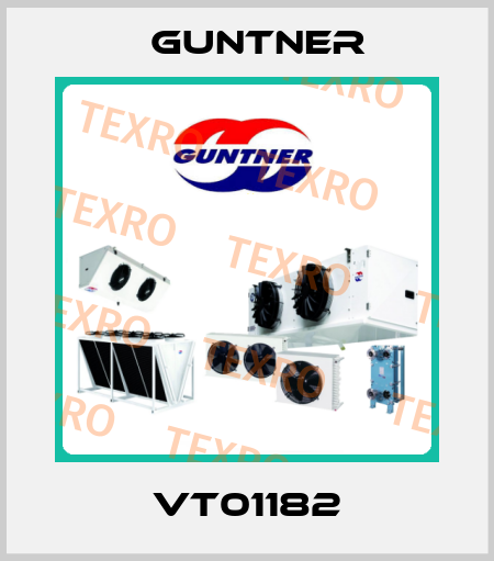 VT01182 Guntner