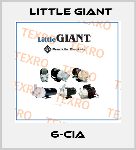 6-CIA Little Giant