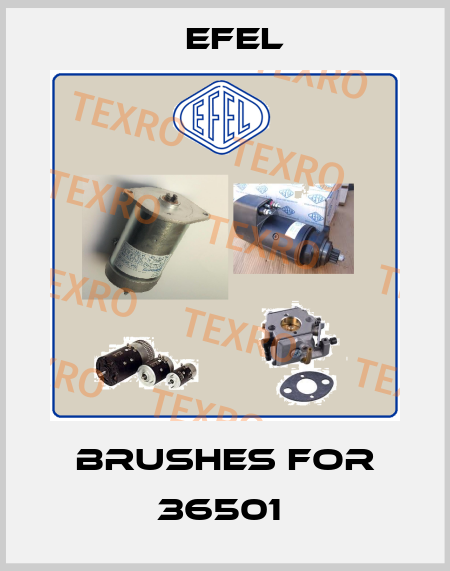 brushes for 36501  Efel